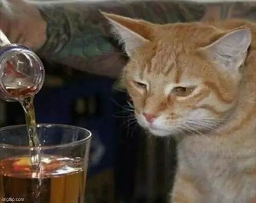 53 52