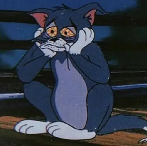 32 Sad Cat với đôi mắt tròn ngồi cạnh bát ăn trống, biểu cảm gương mặt vừa hụt hẫng vừa đòi quyền lợi