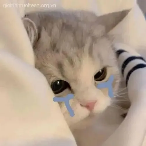 129 128