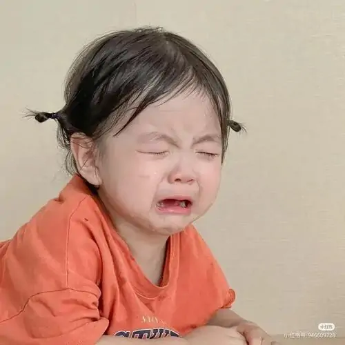 86 85