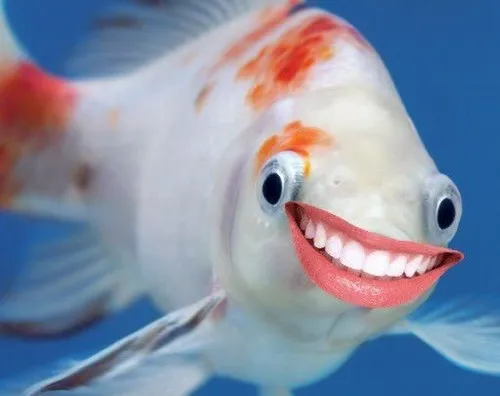 50 49
