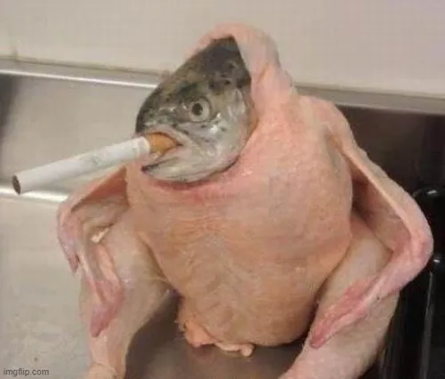 58 57